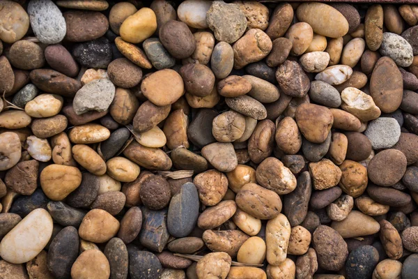 Gravel background — Stock Photo, Image