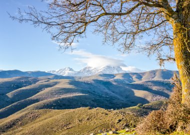 Monte Cinto from Col de San Colombano in Corsica clipart