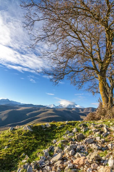 Monte Cinto desde Col de San Colombano en Córcega — Foto de Stock