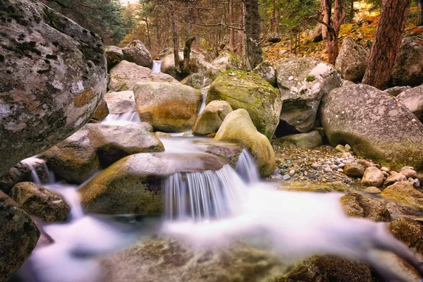 Údolí Restonica, Korsika — Stock fotografie