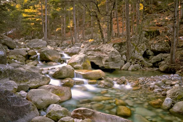 Restonica-Tal, Korsika — Stockfoto