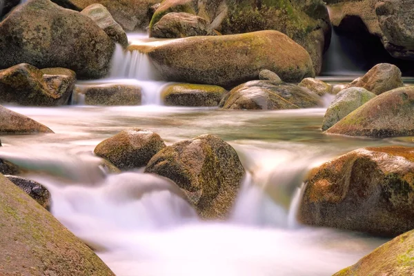 restonica Vadisi, Korsika