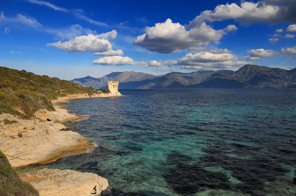 Martello kule, st florent, Korsika — Stok fotoğraf