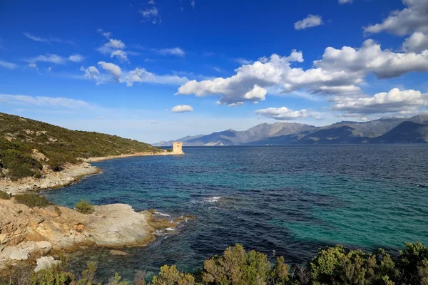 Wieża Martello, st florent, Korsyka — Zdjęcie stockowe