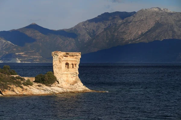 Martello kule, st florent, Korsika — Stok fotoğraf