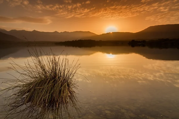 Lac de Codole, Reginu valley in Corsica — Stock Photo, Image