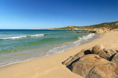 calvi corsica içinde yakın Plage de petra muna