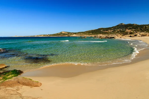 calvi corsica içinde yakın Plage de petra muna