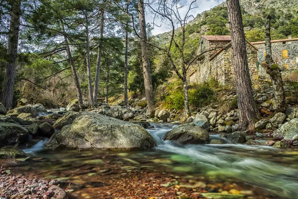 Maison forestiere από την tartagine ποταμό, στο βόρειο τμήμα της Κορσικής — Φωτογραφία Αρχείου