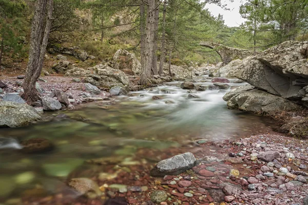 Genoese bridge over cascading Tartagine river in Corsica — Stock Photo, Image