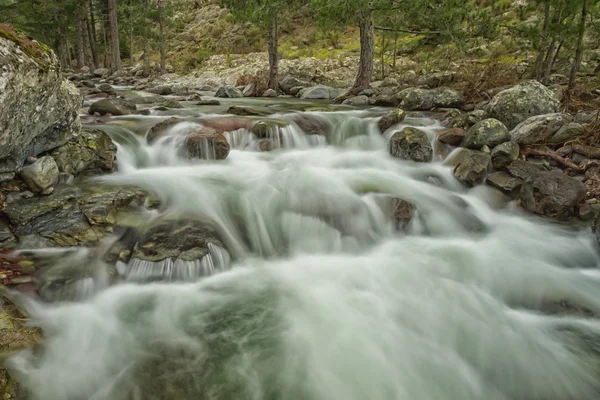 Cascading Tartagine river near Mausoleo in northern Corsica — Stock Photo, Image