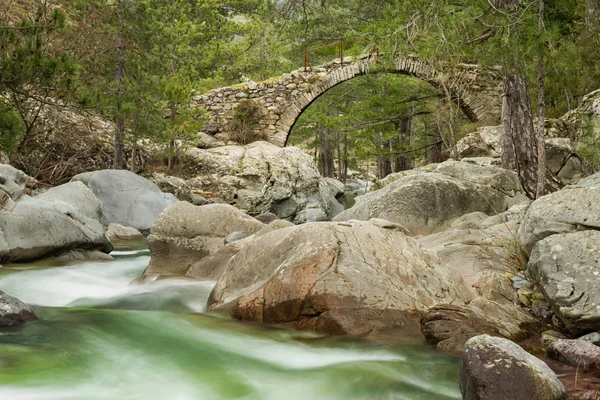 Ponte genovesa sobre o rio Tartagine no norte da Córsega — Fotografia de Stock