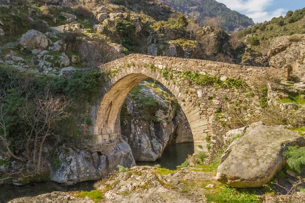 Puente genovés en Asco en Córcega — Foto de Stock