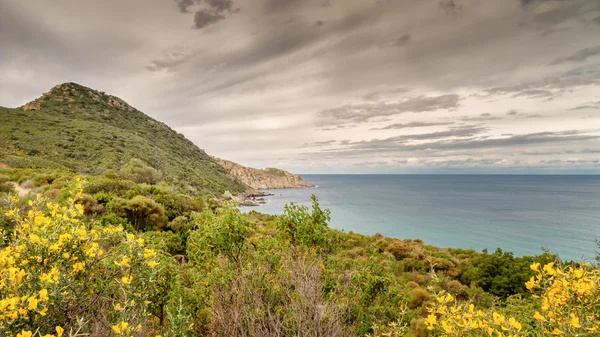 Makia pokryte wybrzeże pustynia des agriates na Korsyce — Zdjęcie stockowe