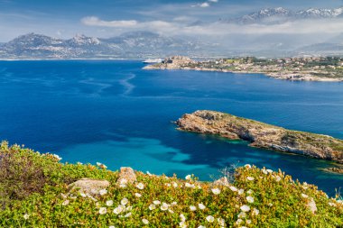 the citadel of Calvi with maquis in foreground and snow capped m clipart