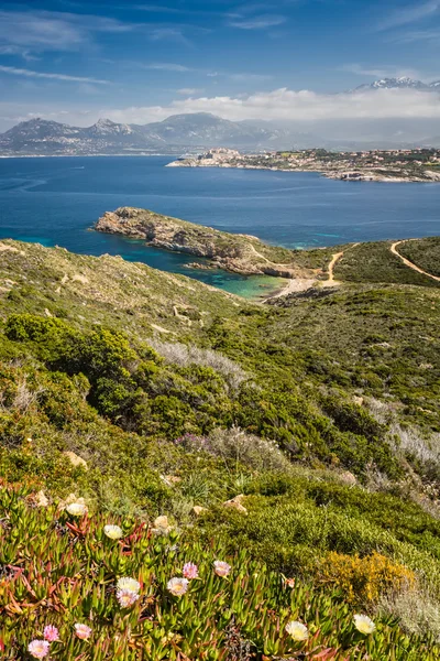 Plaj, calvi, deniz ve la revellata corsica içinde dağlardan — Stok fotoğraf