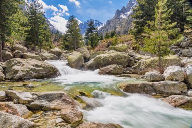 Waterfalls and mountains at Restonica in Corsica clipart