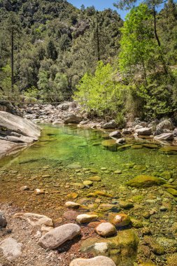 cor foret de bonifatu ile çalışan figarella Nehri