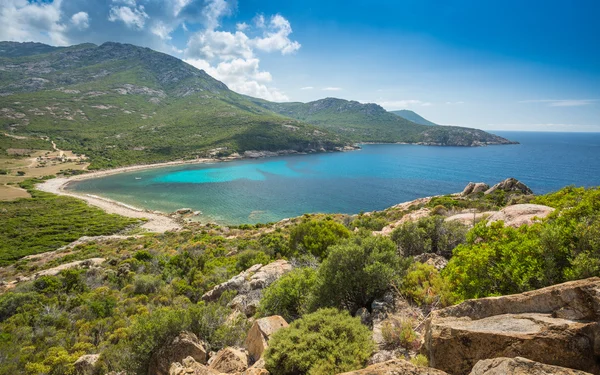Baie de nichiareto an der Westküste Korsikas — Stockfoto