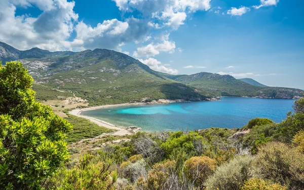 Baie de nichiareto, west coast Corsica — Stok fotoğraf