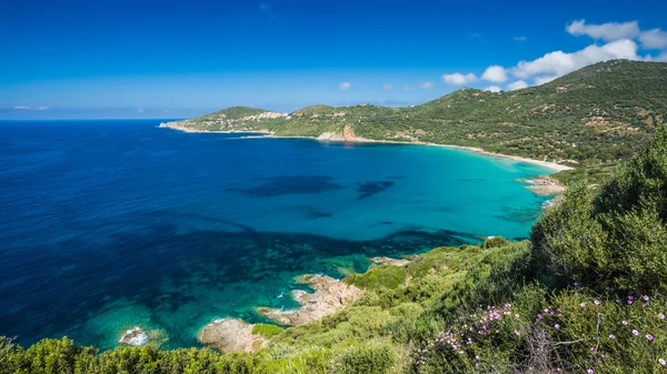 Strand und Küste bei Cargese in Korsika — Stockfoto