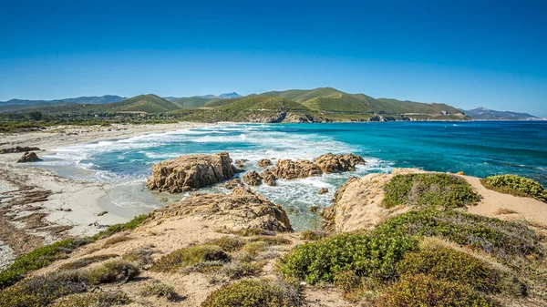 La costa della Corsica e la spiaggia di Ostriconi — Foto Stock