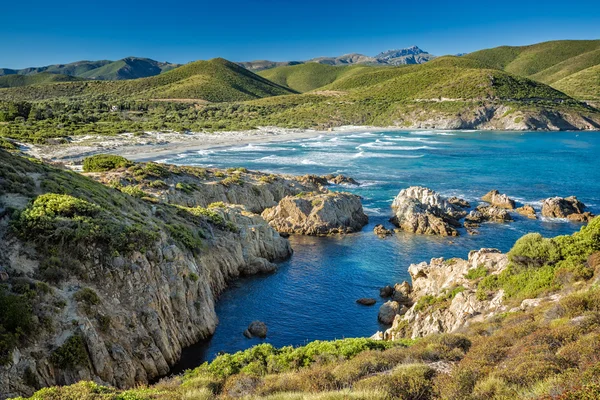 La costa della Corsica e la spiaggia di Ostriconi Immagine Stock