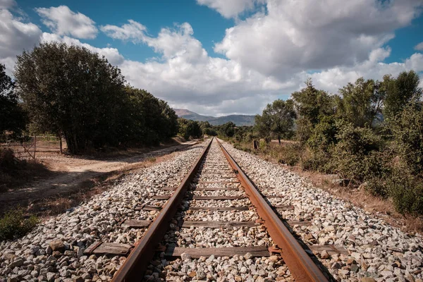 View Parallel Lines Railway Track Belgodere Balagne Region Corsica — Stock Photo, Image