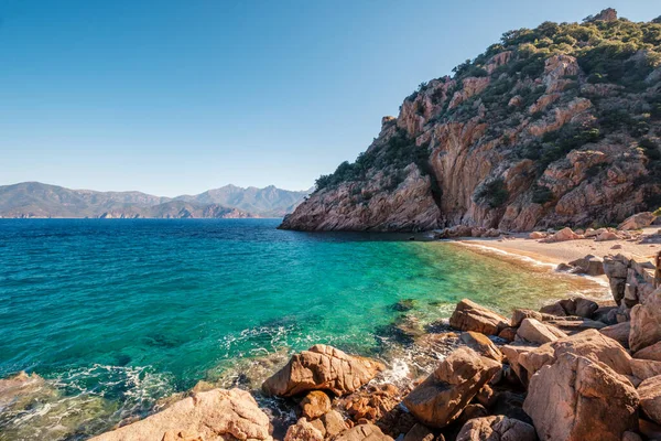 Den Lilla Avskilda Stranden Ficaghiola Och Det Turkosa Medelhavet Korsikas — Stockfoto