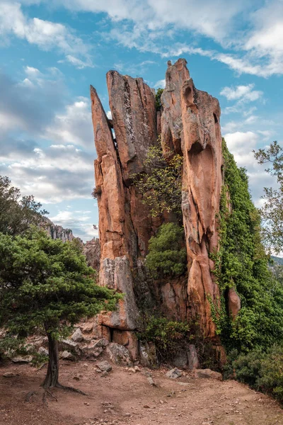 Trees Gowing Tower Rock Calanches Piana Corsica Unesco World Heritage — Stock Photo, Image