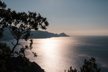 Korsika 'nın batı kıyısındaki Capu Rossu burnu Akdeniz' e karşı öğleden sonra güneş ışığında parıldıyordu.