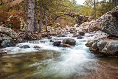 Korsika 'nın Balagne bölgesindeki La Tartagine nehrinin berrak suları üzerindeki antik Ceneviz köprüsü
