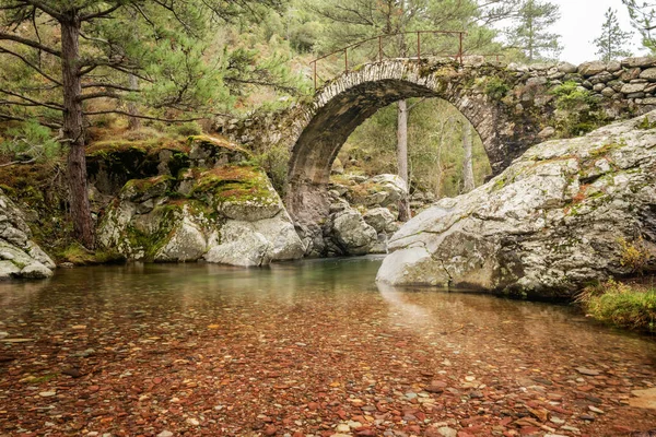 Ponte Genovesa Antiga Sobre Águas Límpidas Rio Tartagine Região Balagne — Fotografia de Stock