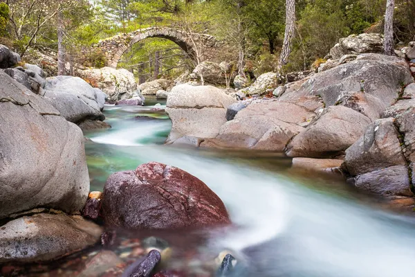 Ancient Genoese Bridge Clear Waters Tartagine River Balagne Region Corsica — Stock Photo, Image