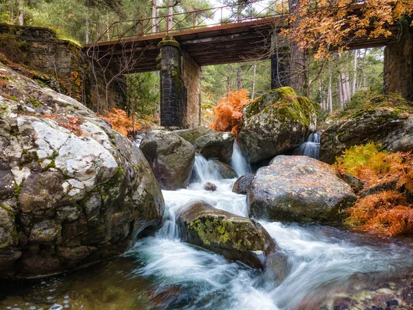 Río Que Fluye Bajo Puente Viejo Través Helechos Otoñales Colores —  Fotos de Stock