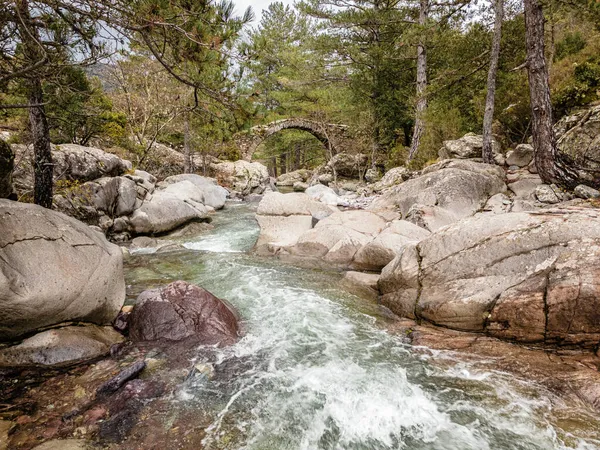 Ancient Genoese Bridge Clear Waters Tartagine River Balagne Region Corsica — Stock Photo, Image