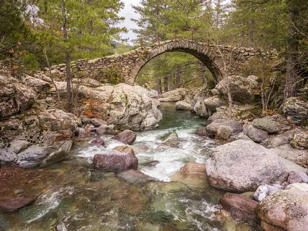 Ponte Genovesa Antiga Sobre Águas Límpidas Rio Tartagine Região Balagne — Fotografia de Stock