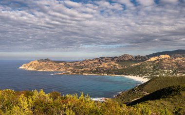 Korsika 'nın Balagne bölgesindeki Ostriconi plajı ve turkuaz Akdeniz manzarası. Uzakta Tarım Çölü var.