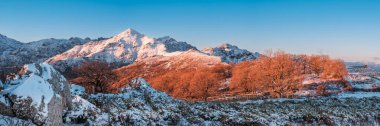Sabahın erken saatlerindeki güneşin panoramik manzarası, Monte San Parteo 'nun karla kaplı zirvesi ve Korsika' nın Balagne bölgesindeki Col de Battaglia 'nın kış yapraklarıyla büyüyen ağaçlar.