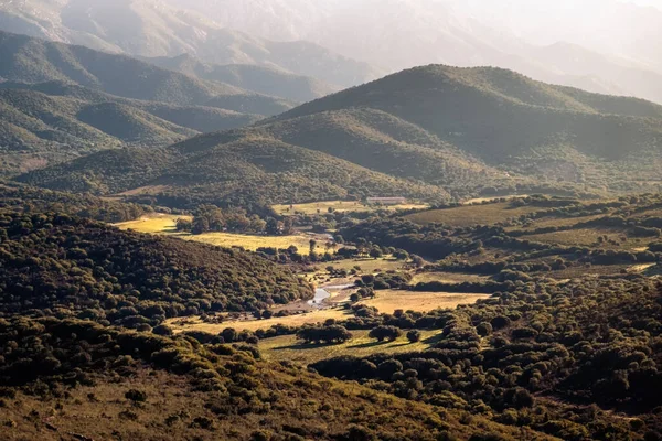 Ποταμός Ostriconi Διασχίζει Την Καταπράσινη Κοιλάδα Ostriconi Στην Περιφέρεια Balagne — Φωτογραφία Αρχείου