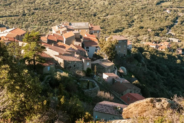 Utsikt Över Hustaken Den Antika Byn Lama Balagne Regionen Korsika — Stockfoto