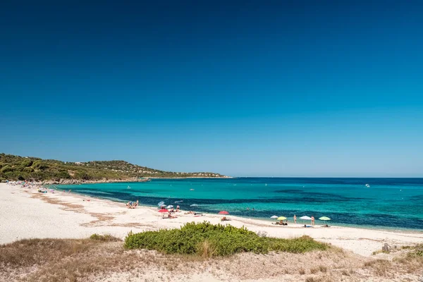 Holidaymakers Enjoy Turquoise Mediterranean Sea Bodri Beach Balagne Region Corsica — Stock Photo, Image