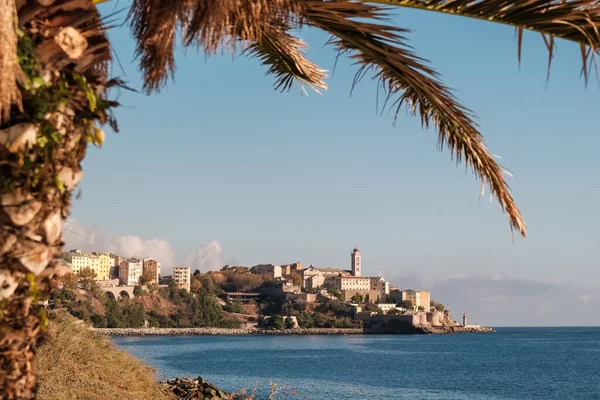 Ciudadela Bastia Mar Mediterráneo Enmarcados Por Hojas Palma Costa Este —  Fotos de Stock