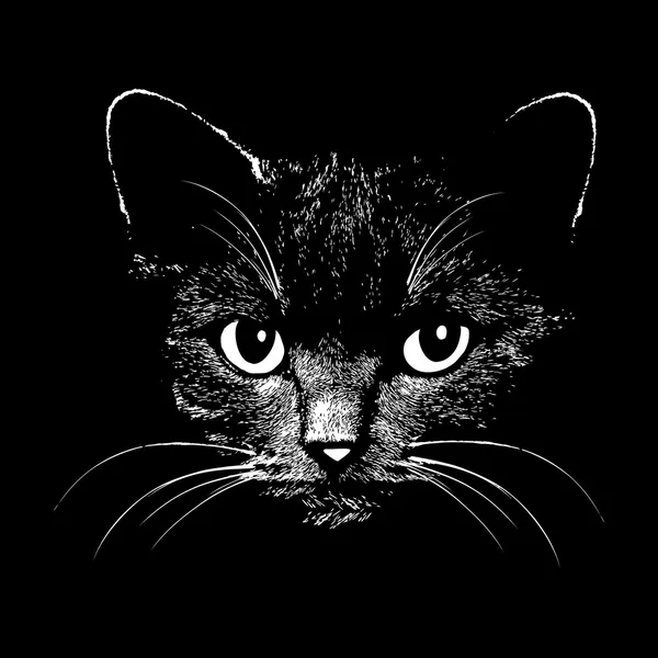 Ilustración vectorial de cabeza de gato — Vector de stock