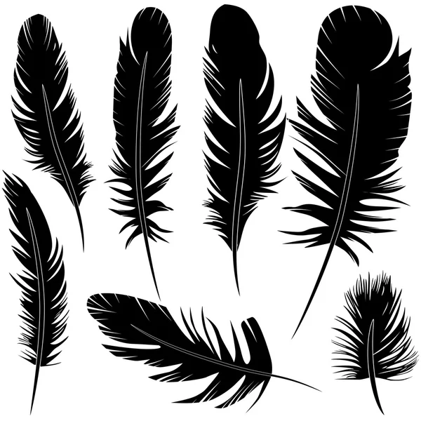 Pluma de pájaro conjunto vector ilustración boceto — Archivo Imágenes Vectoriales