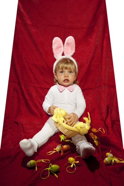 Vit liten kanin och hans ägg — Stockfoto