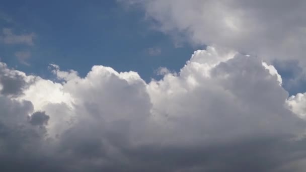 7680X4320 気象学では 雲とは 惑星体の表面上の大気中に浮遊する微細な液滴 凍結した結晶 または粒子の目に見える質量で構成されるエアロゾルである 可変気象雲温度プロファイル — ストック動画