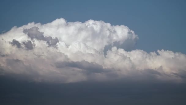 7680X4320 White部分的に青い空に雲が浮かんでいます 雲は大気中の可視液滴の塊で構成されたエアロゾルで 空気が立ち上がって冷えると飽和し 水蒸気の量を保持することができません — ストック動画