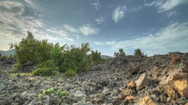 7680X4320 Solidified Basalt Lava Rocks Aphanitic Extrusive Igneous Rock Formed — Wideo stockowe