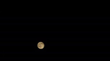 8K 7680X4320 4320p.Full moon rising in cloudless night sky.Black background.Time lapse moonrise and moonset.Suitable for television of film production.The Moon is Earths only permanent natural satellite.night, orbit, perfection, planet